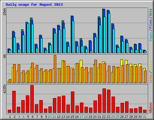 Daily usage for August 2013