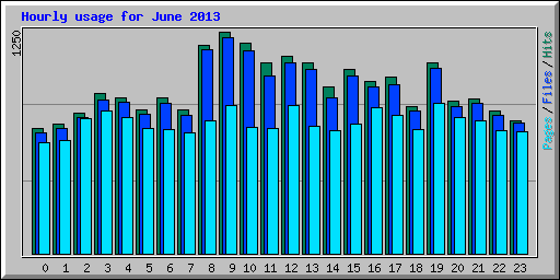 Hourly usage for June 2013