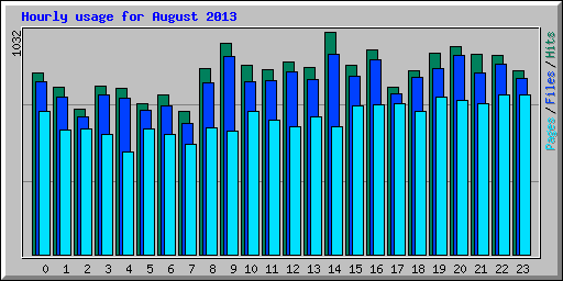 Hourly usage for August 2013