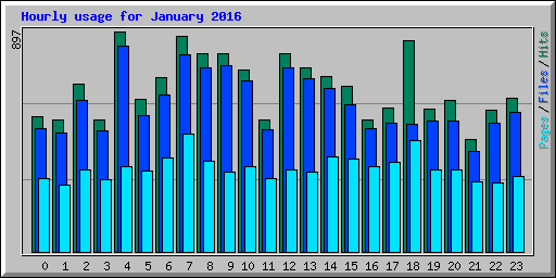 Hourly usage for January 2016